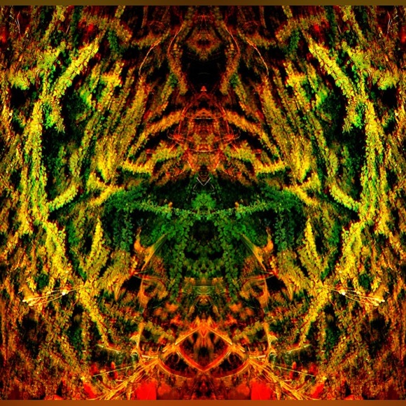 Mary Jane - Photography wall art - Picture 1 of 1